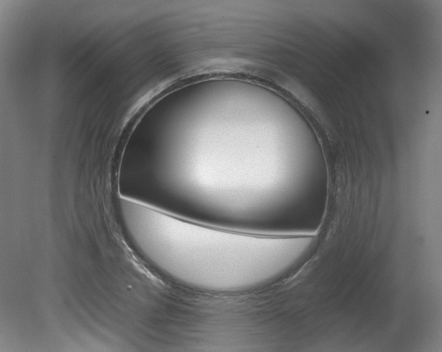 X0000082140834200701190955
