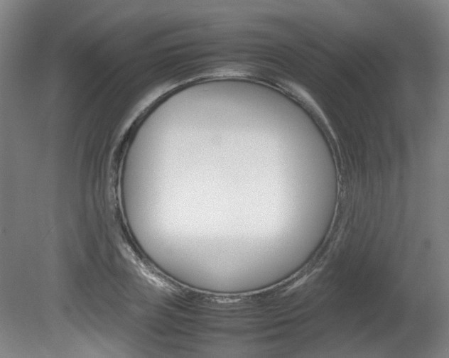 X0000082140835200701190955