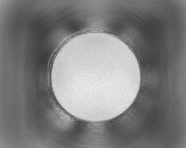 X0000082140836200701190955