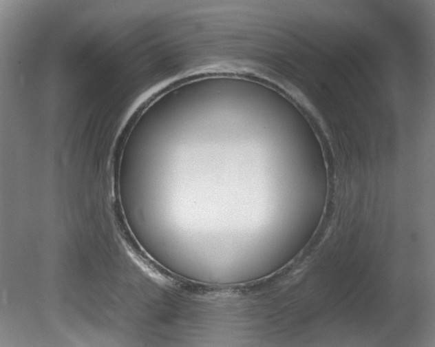 X0000082140838200701190956