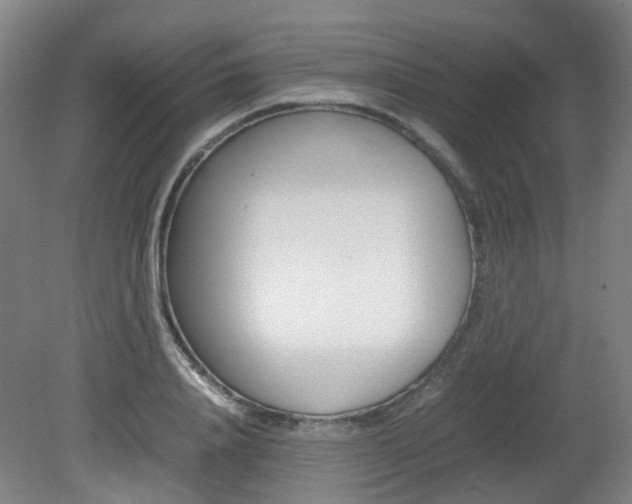 X0000082140840200701190956