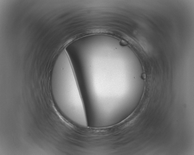 X0000082140841200701190956