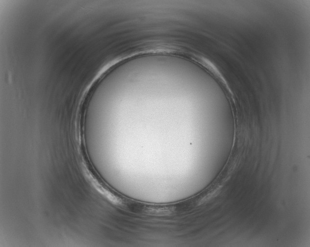 X0000082140843200701190956