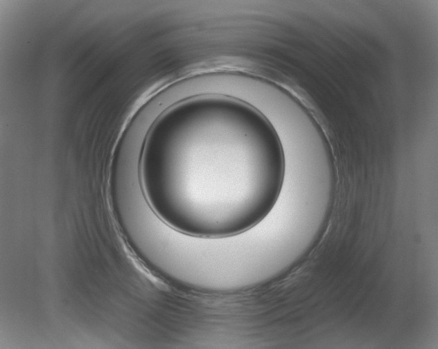 X0000082140850200701190956