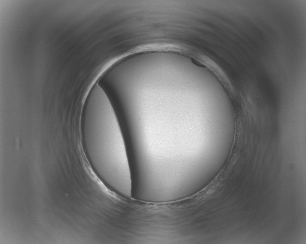 X0000082140852200701190956