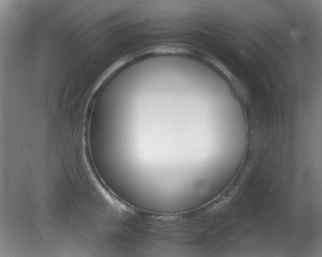 X0000082140853200701190956