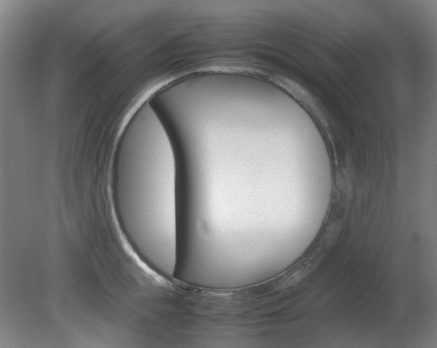 X0000082140855200701190956