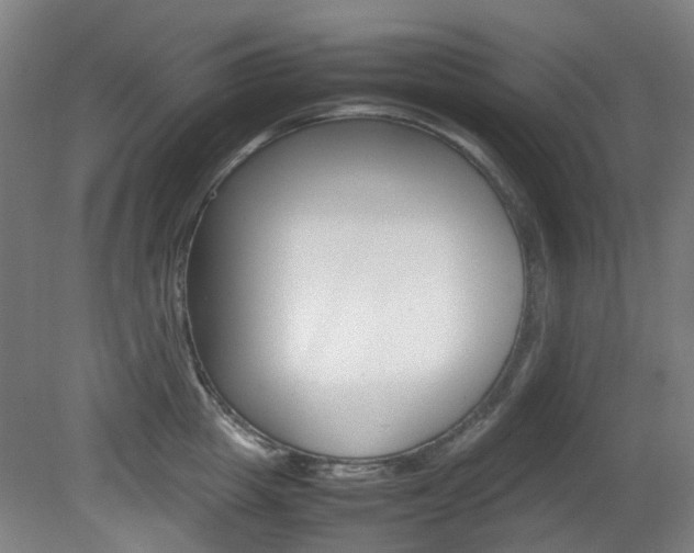 X0000082140857200701190956