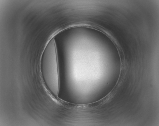 X0000082140858200701190956