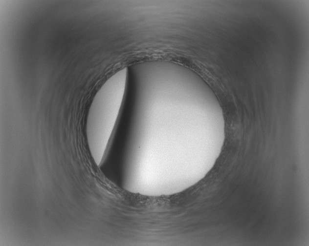 X0000082140865200701190955