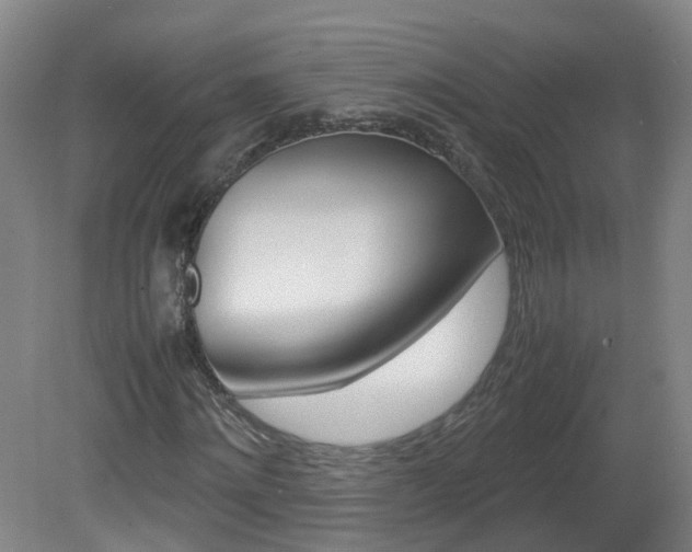 X0000082140868200701190955