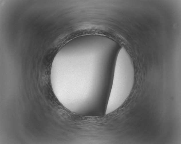 X0000082140869200701190955
