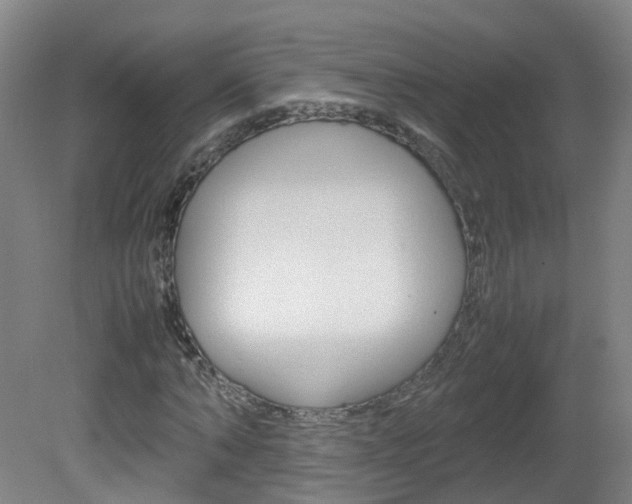 X0000082140870200701190955