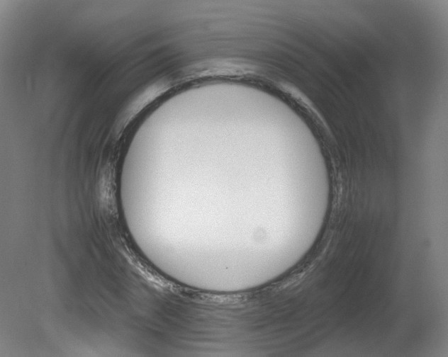 X0000082140874200701190955