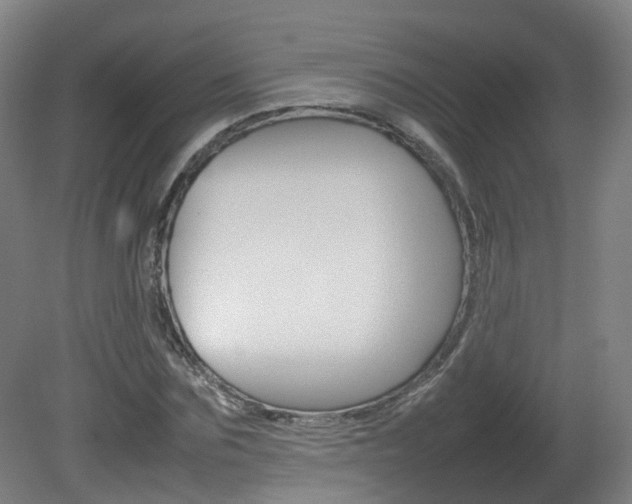 X0000082140875200701190955