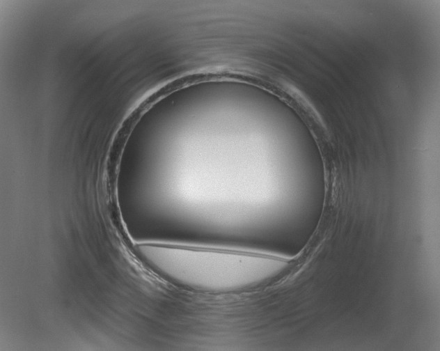X0000082140876200701190955