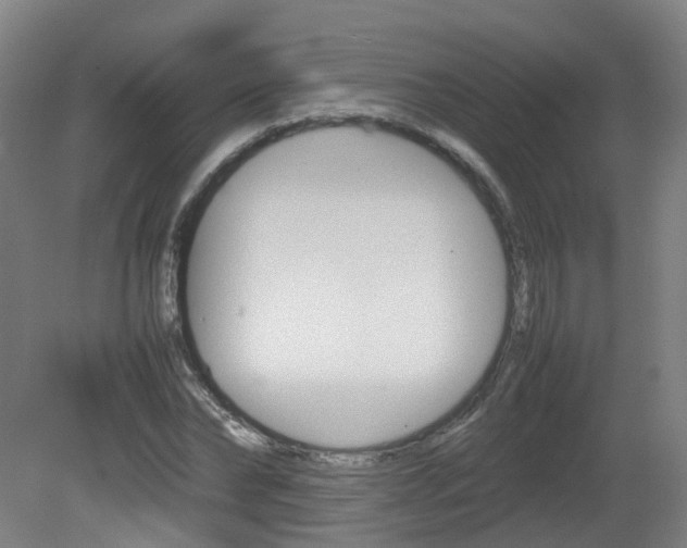 X0000082140878200701190955