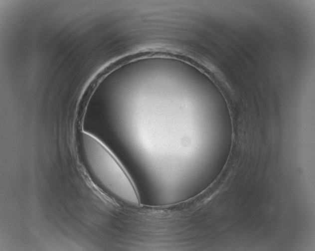 X0000082140880200701190955