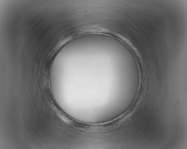 X0000082140889200701190955