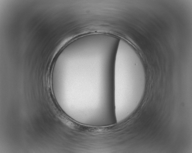 X0000082140891200701190955