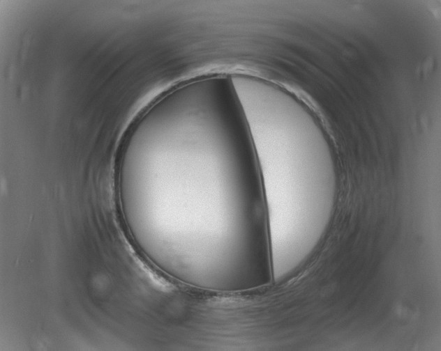 X0000082140894200701190955