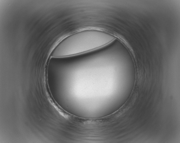 X0000082140898200701190955