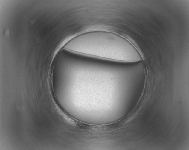 X0000082140901200701190955