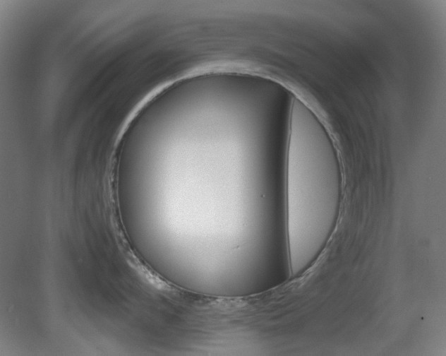 X0000082140912200701190954