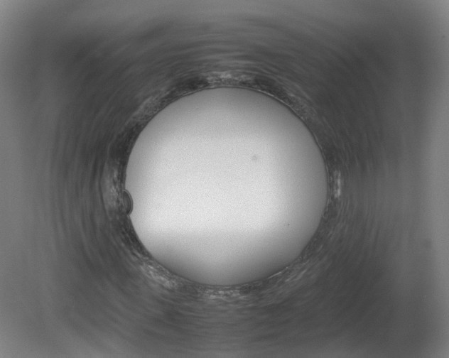 X0000082140915200701190954