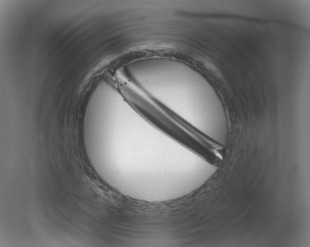 X0000082140920200701190954