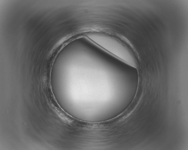X0000082140922200701190954