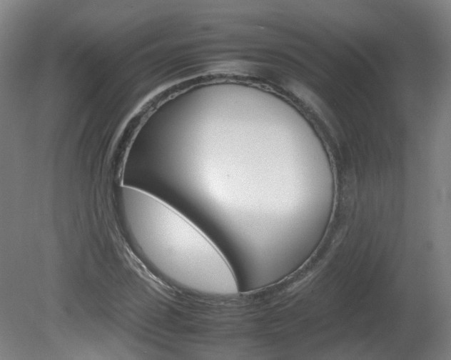 X0000082140923200701190954