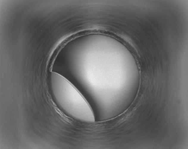 X0000082140927200701190954