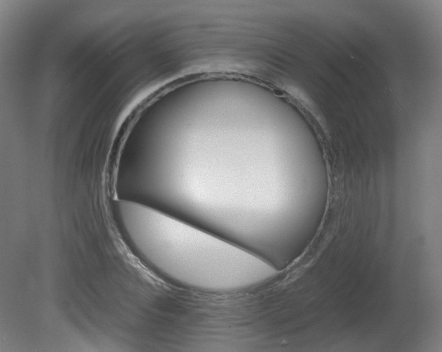 X0000082140928200701190954