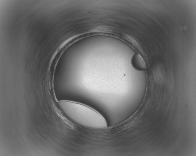 X0000082140931200701190954