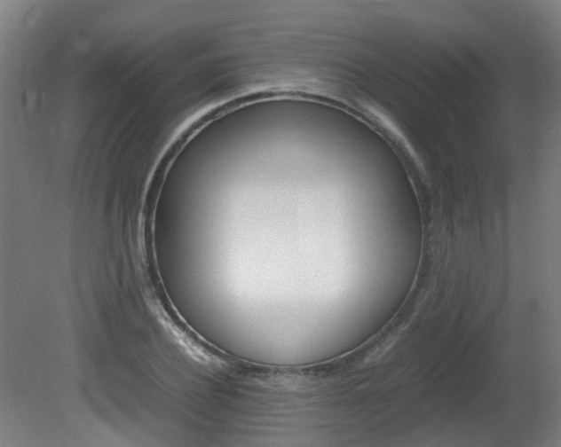 X0000082140932200701190954