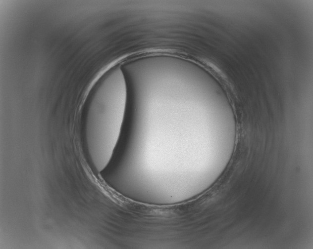 X0000082140933200701190954