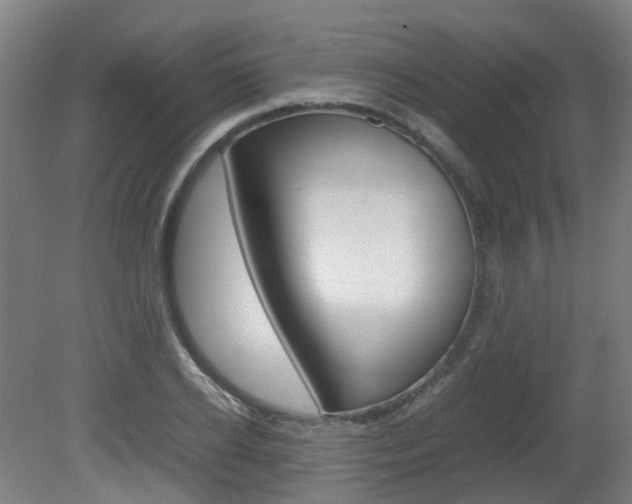 X0000082140934200701190954