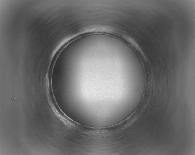 X0000082140936200701190954