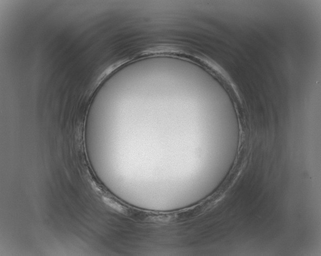 X0000082140937200701190954