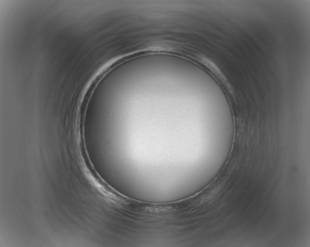 X0000082140939200701190954