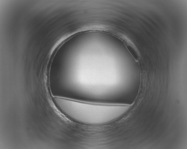 X0000082140944200701190954