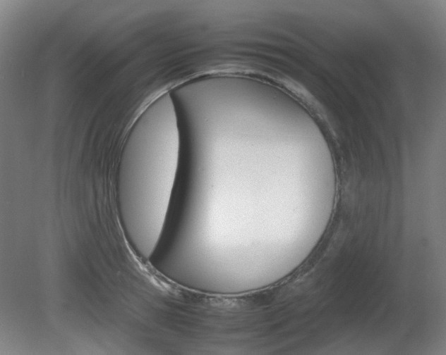 X0000082140945200701190954