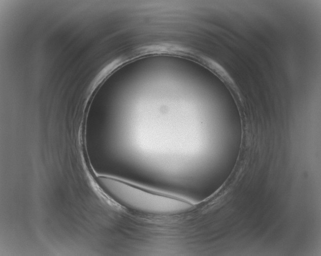 X0000082140946200701190954