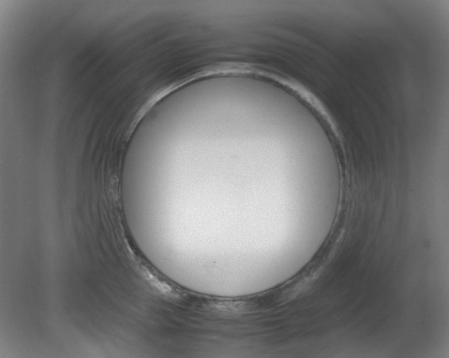 X0000082140953200701190954