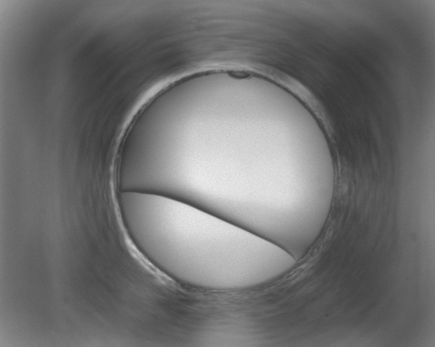 X0000082140958200701190954