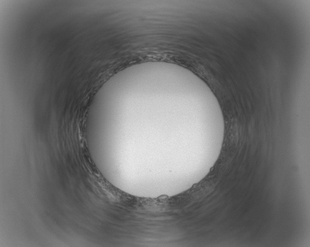 X0000082140962200701190954