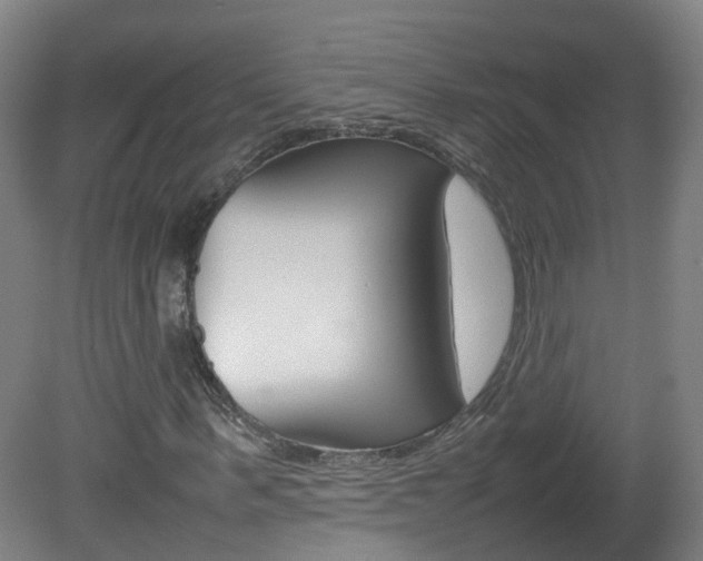 X0000082140963200701190954