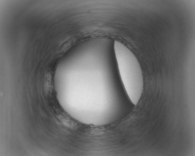 X0000082140964200701190954