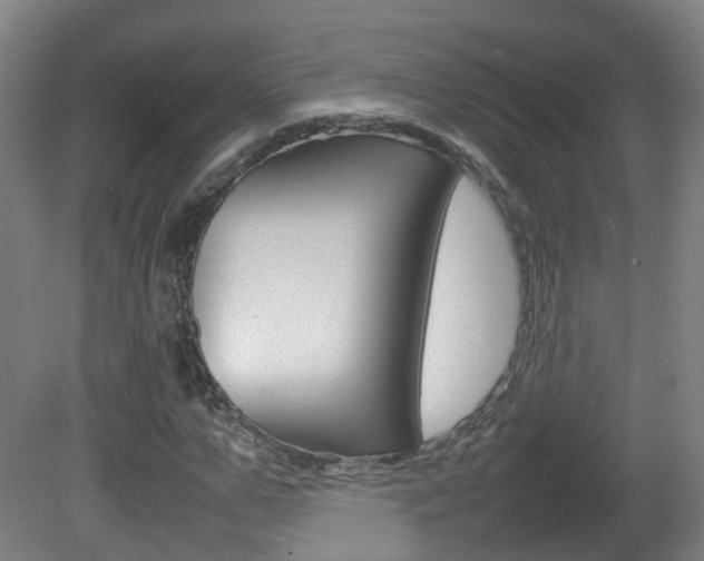 X0000082140967200701190953